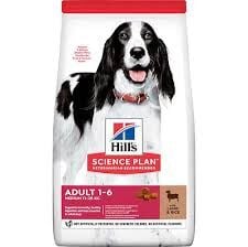 Hills Medium Kuzulu Yetişkin Köpek Maması 2kg