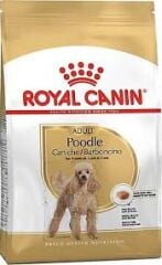 Royal Canin Poodle Adult 3 kg Yetişkin Köpek Maması